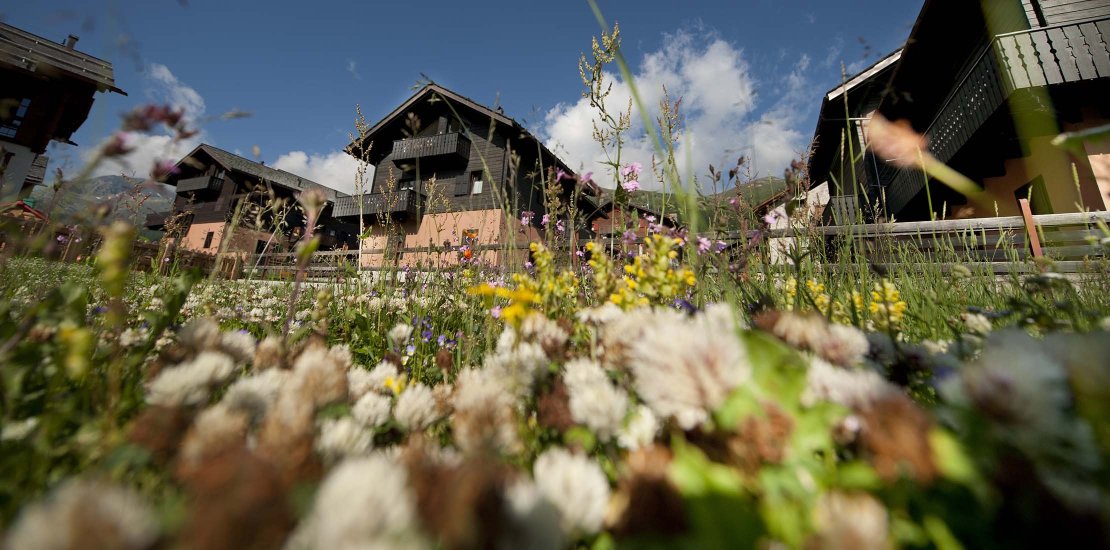 Appartamento Arancio