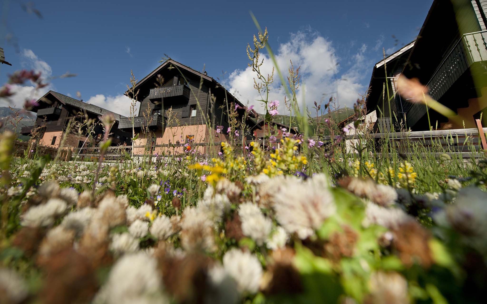 Sara Apartments - Via Rin 443-N